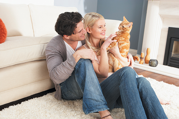 A man and a woman cuddling a ginger tabby cat.