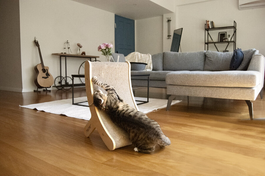 cat-in-living-room-playing-with-hepper-hi-lo-cat-scratcher-while-in-highest-position