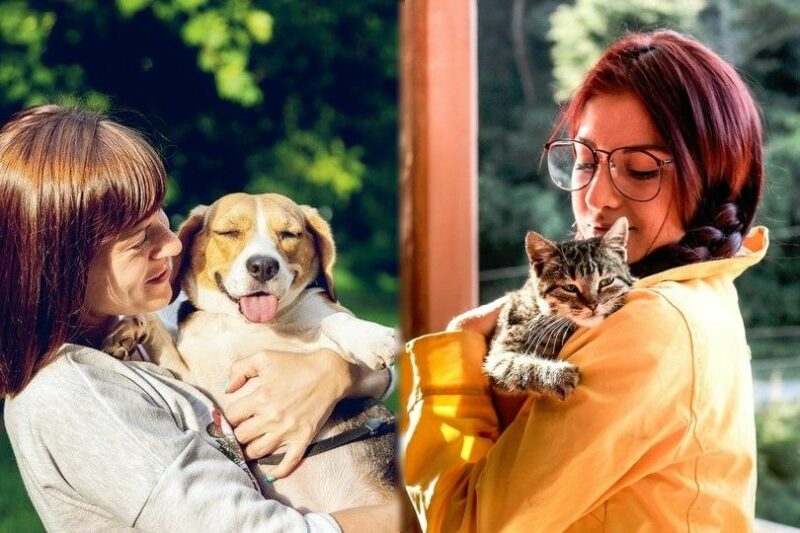 Dog owner versus Cat Owner