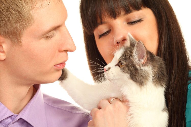 man and woman holding cat