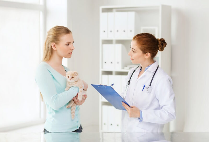 woman holding kitten talking to vet